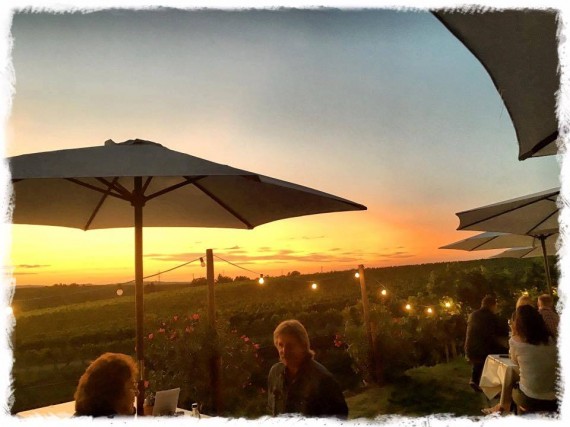 21462232_206280089910268_6082531493297151724_n