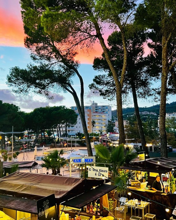 198E9E5F-2BDD-4C4E-B5FC-556CC6929B30